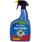Insectes et maladies